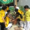 International Nurses Week